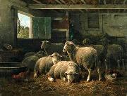 unknow artist Sheep 098 oil painting on canvas